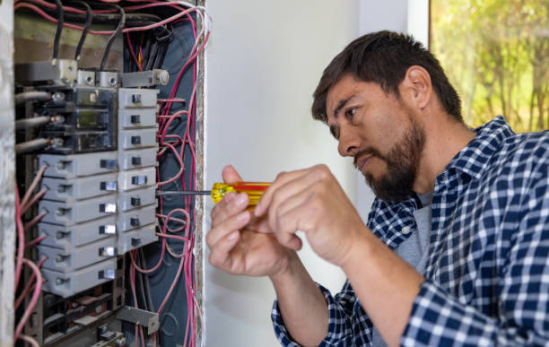 Best Local Electrician Companies  in Buena, NJ